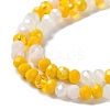 Glass Beads Strands EGLA-A034-M6mm-21-3