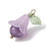 5Pcs 5 Styles Natural Amethyst & Dyed Quartz Crystal & Green Aventurine & Rose Quartz & Synthetic Green Turquoise Pendants PALLOY-TA00147-4