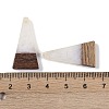 Resin & Wood Pendants WOOD-F015-03H-3