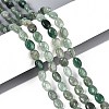 Natural Green Strawberry Quartz Beads Strands G-T142-17-1