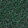 MIYUKI Round Rocailles Beads X-SEED-G007-RR4507-3