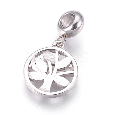 304 Stainless Steel European Dangle Charms STAS-O097-40P-1