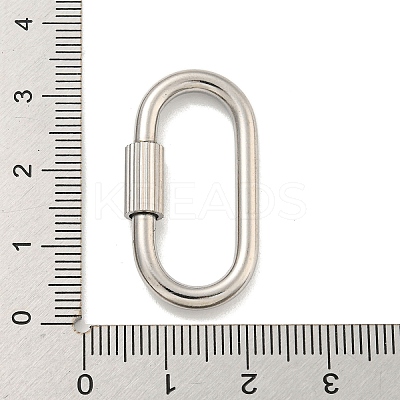 Non-Tarnish 304 Stainless Steel Screw Carabiner Lock Charms STAS-C092-09B-P-1