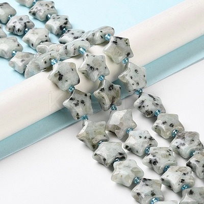 Natural Sesame Jasper/Kiwi Jasper Beads Strands G-NH0005-018-1