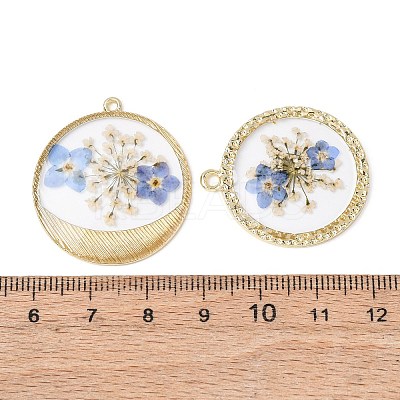 Transparent Resin Pendants RESI-A050-10B-G-1