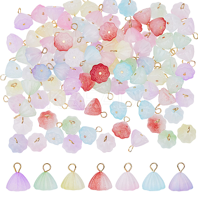 112Pcs 7 Styles Two Tone Acrylic Charms PALLOY-HY00033-1