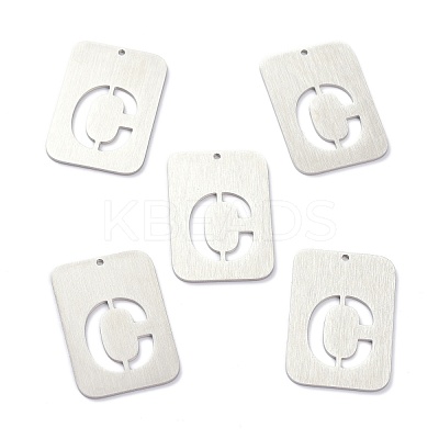 Non-Tarnish 304 Stainless Steel Pendants STAS-K216-49C-P-1