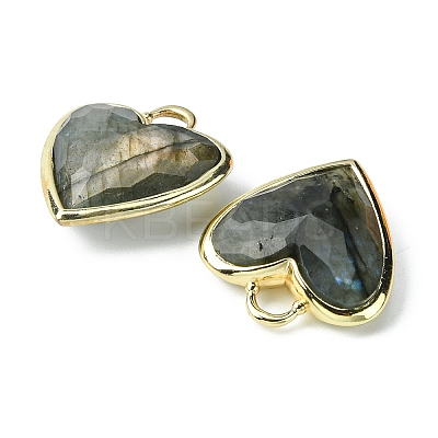 Natural Labradorite Pendants G-O204-01D-1