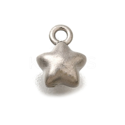 304 Stainless Steel Charms STAS-D310-06P-05-1
