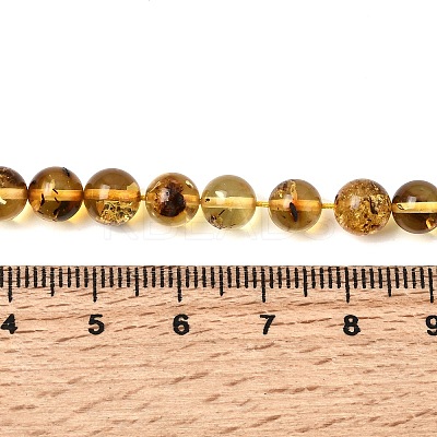 Natural Amber Beads Strands G-K376-H03-01-1