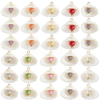 30Pcs Natural Shell & Imitation Pearl Pendants PALLOY-SC0004-42-1