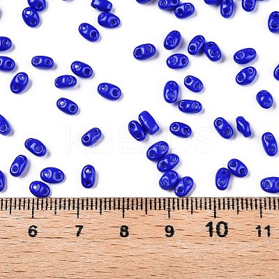Baking Paint Glass Seed Beads SEED-T006-03-01-1