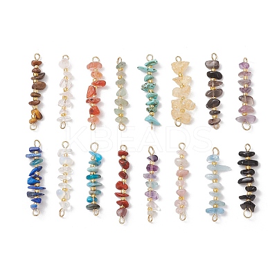 16Pcs 16 Styles Natural Mixed Stone Chip and Glass Seed Beaded Connector Charms PALLOY-JF03328-01-1