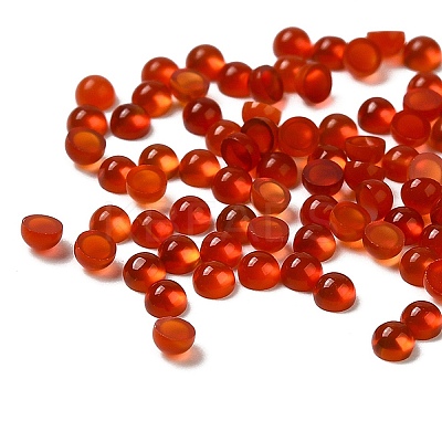 Natural Carnelian Dome/Half Round Cabochons G-G037-01B-04-1