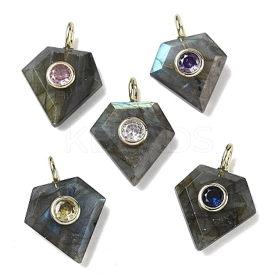 Natural Labradorite Faceted Pendants G-F819-03G-06-1