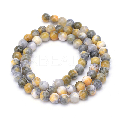 Natural Dyed Persian Jade Gemstone Bead Strands G-R271-6mm-XP26-1