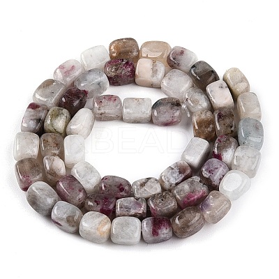 Natural Plum Blossom Tourmaline Beads Strands G-T141-12A-1