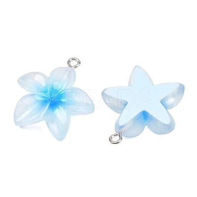 Transparent Resin Pendants RESI-P048-01P-1