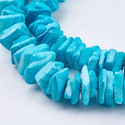 Natural Sea Shell Beads Strands BSHE-K012-08C-1