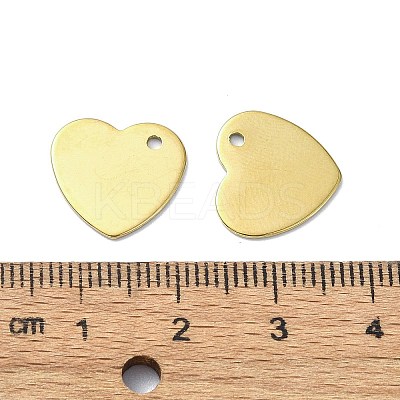 Ion Plating(IP) 201 Stainless Steel Charms X-STAS-H191-01C-G-1