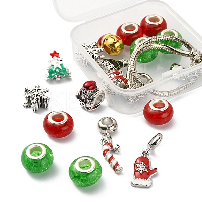 DIY European Bracelet Making Kit DIY-YW0005-87-1