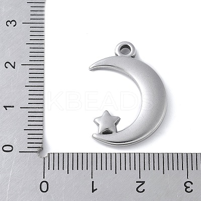 304 Stainless Steel Pendants STAS-E548-03P-1