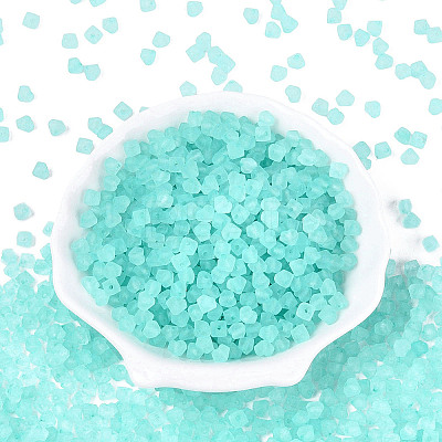 FGB Frosted Transparent Glass Seed Beads SEED-N013-03A-10-1