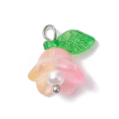 Mixed Color Glass Pearl & Acrylic Charms PALLOY-JF02567-01-1