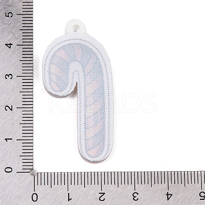 Printed Acrylic Pendant FIND-H003-04D-1