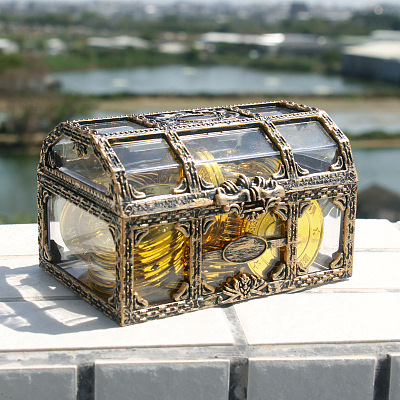 Rectangle Plastic Transparent Antique Pirate Treasure Boxes PW-WG47828-01-1