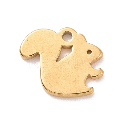 304 Stainless Steel Charms STAS-G287-03G-1