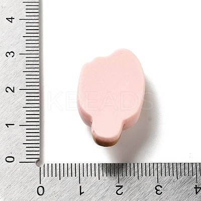 Opaque Resin Imitation Food Decoden Cabochons CRES-H001-02B-1