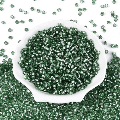 Silver Lined Glass Seed Beads SEED-T007-18A-06-1