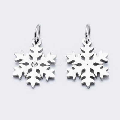 Eco-Friendly 316 Surgical Stainless Steel Micro Pave Cubic Zirconia Charms RB-I078-71P-NR-1