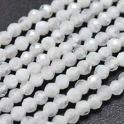 Natural Rainbow Moonstone Beads Strands G-O186-D02-1