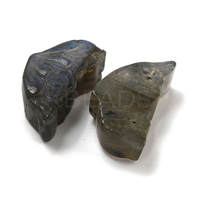 Natural Labradorite Carved Cabochons G-C152-03B-1