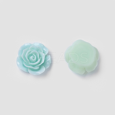 Opaque Resin Cabochons RESI-I011-M-1
