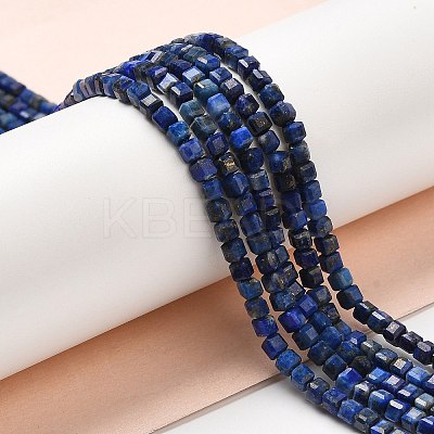 Natural Lapis Lazuli Beads Strands G-E608-B12-1