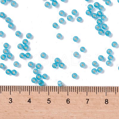 MIYUKI Round Rocailles Beads X-SEED-G008-RR0647-1
