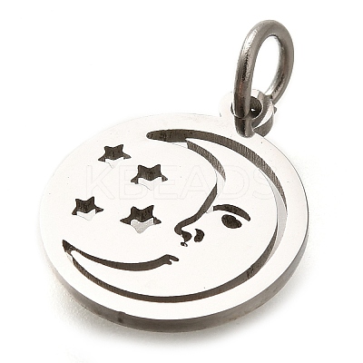304 Stainless Steel Charms STAS-Z119-20P-1