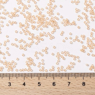 MIYUKI Round Rocailles Beads X-SEED-G009-RR0369-1