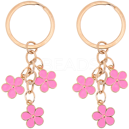 Zinc Alloy Keychain KEYC-WH20004-10B-1