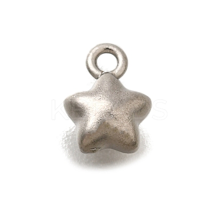 304 Stainless Steel Charms STAS-D310-06P-05-1