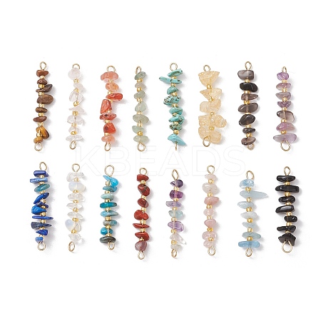 16Pcs 16 Styles Natural Mixed Stone Chip and Glass Seed Beaded Connector Charms PALLOY-JF03328-01-1