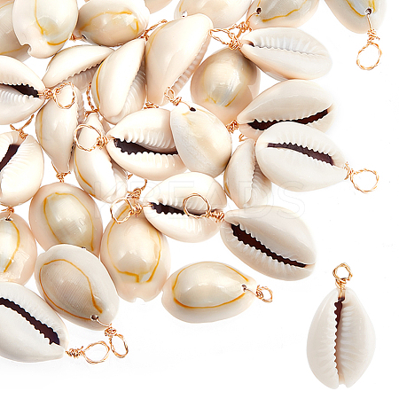 50Pcs Natural Cowrie Shell Pendants FIND-BBC0003-13-1