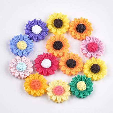 Resin Cabochons CRES-T010-59-1