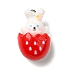 Cute Opaque Resin Pendants LS-RESI-L038-08P-04-1