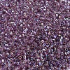 MIYUKI Delica Beads Small SEED-X0054-DBS0173-3