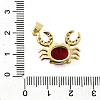 Brass Micro Pave Cubic Zirconia Pendants LS-KK-K302-05G-3