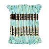10 Skeins 6-Ply Polyester Embroidery Floss OCOR-K006-A26-1
